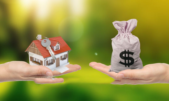 小额贷款,助您轻松实现梦想 小额贷款,助您轻松实现梦想